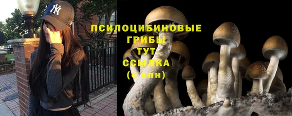дурь Беломорск