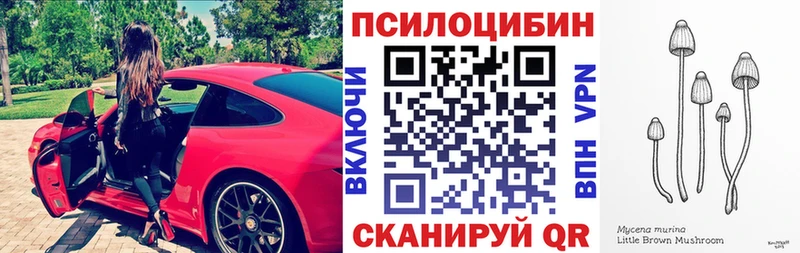 Галлюциногенные грибы прущие грибы  Торжок 